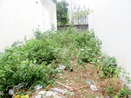 2) Li id 365 - Pic 3.JPG